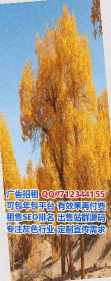 清城代怀保险代理工作室